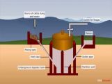 Grade X Bioenergy Or Biomass Grade X Bioenergy Or Biomass