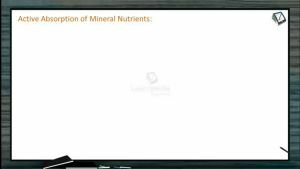 Mineral Nutrition - Active Absorption Of Mineral Nutrients (Session 3)