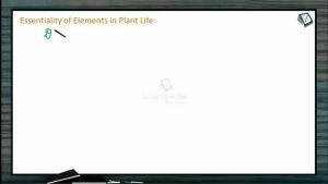 Mineral Nutrition - Essentiality Of Elements In Plant Life And Sand Culture (Session 1)