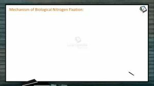 Mineral Nutrition - Mechanism Of Biological Nitrogen Fixation (Session 4)