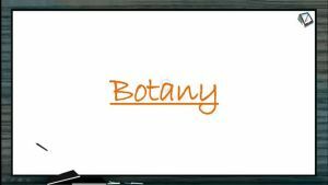 Mineral Nutrition - Nitrogen Metabolism And Nitrogen Cycle (Session 4)