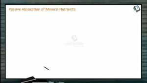 Mineral Nutrition - Passive Absorption Of Mineral Nutrients (Session 3)