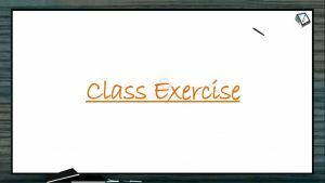Molecular Basis of Inheritance - Class Exercise (Session 5)
