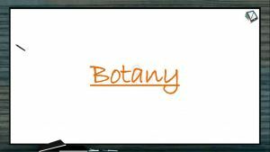 Molecular Basis of Inheritance - Gene and Enzymes (Session 4)