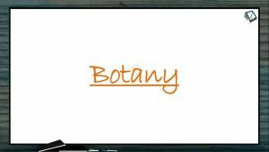 Molecular Basis of Inheritance - Genetic Material (Session 1)