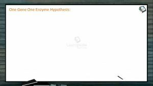 Molecular Basis of Inheritance - One Gene One Enzyme Hypothesis (Session 4)