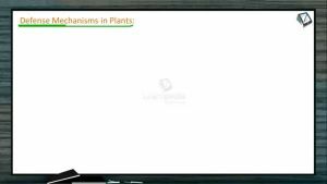 Morphology of Flowering Plants - Defense Mechanism In Plants (Session 6)