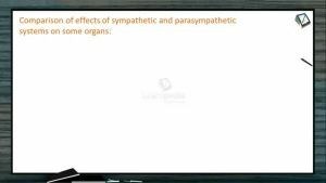 Neural Control And Coordination - Comparison Of Effect Of SNS And PNS On Some Organs (Session 6)