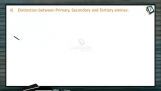 Organic Compounds Containing Nitrogen - Distinction Between Primary Secondary And Tertiary Amines (Session 5 & 6) Organic Compounds Containing Nitrogen - Distinction Between Primary Secondary And Tertiary Amines (Session 5 & 6)