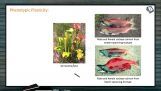 Organisms And Populations - Phenotypic Plasticity (Session 1)