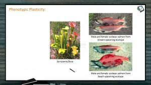 Organisms And Populations - Phenotypic Plasticity (Session 1)