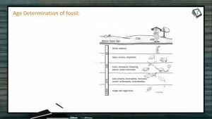 Origin And Evolution Of Life - Age Determination Of Fossil And Carbon Dating (Session 9)