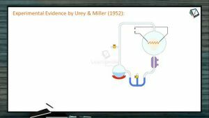 Origin And Evolution Of Life - Experimental Evidence By Urey And Miller (Session 2)