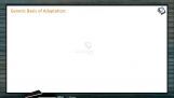 Origin And Evolution Of Life - Genetic Basis Of Adaptation (Session 12) Origin And Evolution Of Life - Genetic Basis Of Adaptation (Session 12)