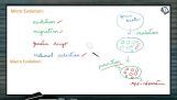 Origin And Evolution Of Life - Macro Evolution (Session 5) Origin And Evolution Of Life - Macro Evolution (Session 5)