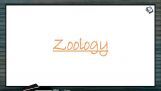 Origin And Evolution Of Life - Mutation Theory (Session 12) Origin And Evolution Of Life - Mutation Theory (Session 12)