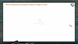 Origin And Evolution Of Life - Role Of Ribozyme In Origin Of Life (Session 3)