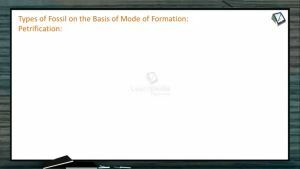 Origin And Evolution Of Life - Types Of Fossil On The Basis Of Mode Of Formation -I (Session 9)