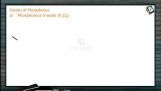 P Block Elements - Oxides Of Phosphorus (Session 9) P Block Elements - Oxides Of Phosphorus (Session 9)