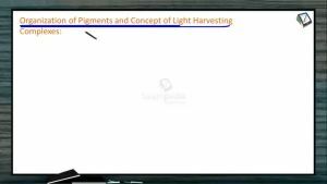 Photosynthesis - Organisation Of Pigments And Concept Of LHC (Session 1)