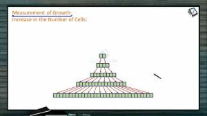 Plant Growth And Development - Measurement Of Growth (Session 1)