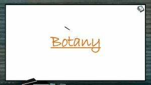 Plant Physiology - Osmosis (Session 2)