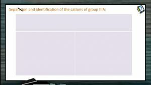 Practical Chemistry - Separation And Identification Of The Cations Of Group IIIa (Session 6 & 7)