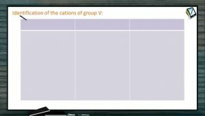 Practical Chemistry - Seperation And Identification Of Cations Of Group V (Session 6 & 7)