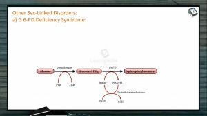 Principles of Inheritance And Variation - Other Sex Linked Disorders (Session 11)