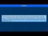 Class 12 Chemistry - Proteins Video by MBD Publishers Class 12 Chemistry - Proteins Video by MBD Publishers