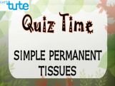 Class 9 Biology - Quiz Time - Simple Permanent Tissues Video by Let's tute Class 9 Biology - Quiz Time - Simple Permanent Tissues Video by Let's tute
