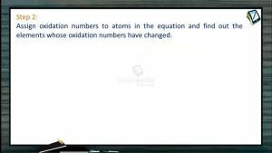 Redox Reactions - Ion Electron Method Step-2 (Session 5)