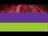 Class 9 Science - Reflection Of Sound Video by MBD Publishers Class 9 Science - Reflection Of Sound Video by MBD Publishers