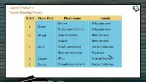Reproduction In Organisms - Forest Products (Session 2)