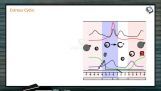 Reproduction In Organisms - Metestrous And Diestrous Phase Of Estrous Cycle (Session 7) Reproduction In Organisms - Metestrous And Diestrous Phase Of Estrous Cycle (Session 7)