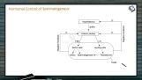 Reproduction In Organisms - Spermatogenesis And Hormonal Control Of Spermatogenesis (Session 4) Reproduction In Organisms - Spermatogenesis And Hormonal Control Of Spermatogenesis (Session 4)