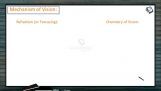 Sensory System - Mechanism Of Vision (Session 1) Sensory System - Mechanism Of Vision (Session 1)