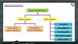 Sexual Reproduction in Flowering Plants - Abiotic Agents Of Cross Pollination (Session 3) Sexual Reproduction in Flowering Plants - Abiotic Agents Of Cross Pollination (Session 3)