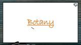 Sexual Reproduction in Flowering Plants - Female Reproductive Organ (Session 2) Sexual Reproduction in Flowering Plants - Female Reproductive Organ (Session 2)