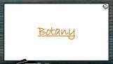 Sexual Reproduction in Flowering Plants - Germination Of Pollen Grain On Stigma And Growth Of Pollen Tube (Session 4) Sexual Reproduction in Flowering Plants - Germination Of Pollen Grain On Stigma And Growth Of Pollen Tube (Session 4)