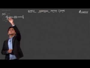 Simple Harmonic Motion & Elasticity - Illustrations-III Video By Plancess