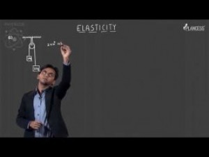 Simple Harmonic Motion & Elasticity - Illustrations-IV Video By Plancess