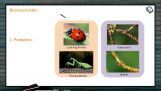 Strategies For Enhancement in Food Production - Bioinsecticides (Session 6) Strategies For Enhancement in Food Production - Bioinsecticides (Session 6)