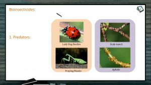 Strategies For Enhancement in Food Production - Bioinsecticides (Session 6)