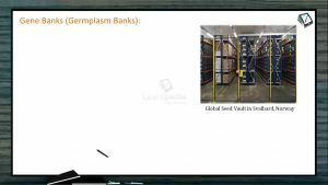 Strategies For Enhancement in Food Production - Gene Banks (Germplasm Banks) (Session 4)