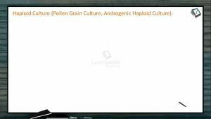 Strategies For Enhancement in Food Production - Haploid Culture (Session 5)