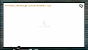 Strategies For Enhancement in Food Production - Somatic Hybridisation (Session 2)