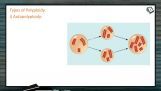 Strategies For Enhancement in Food Production - Types Of Polyploidy (Session 1) Strategies For Enhancement in Food Production - Types Of Polyploidy (Session 1)