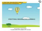 Structural Organisation in Animals - Levels Of Organisation (Session 1) Structural Organisation in Animals - Levels Of Organisation (Session 1)