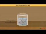 Class 11 Physics - Surface Tension Video by MBD Publishers Class 11 Physics - Surface Tension Video by MBD Publishers